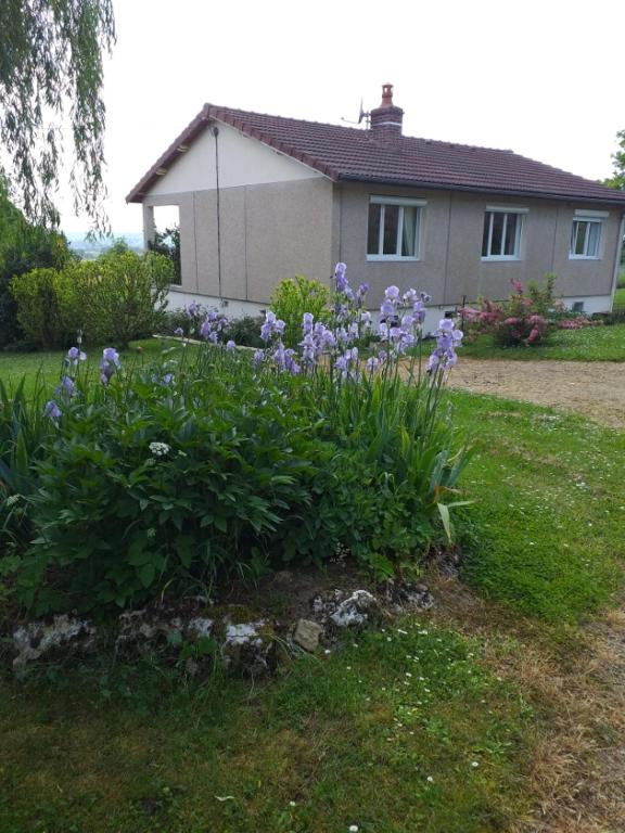 une brousse de fleurs violettes devant une maison dans l'établissement La maison d'Ormancey, à Mont-Saint-Jean