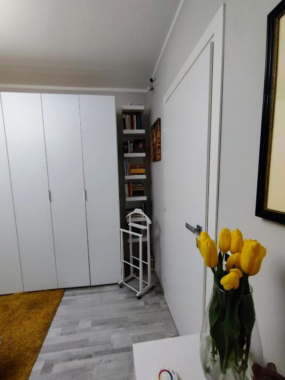 Knihovna v apartmánu