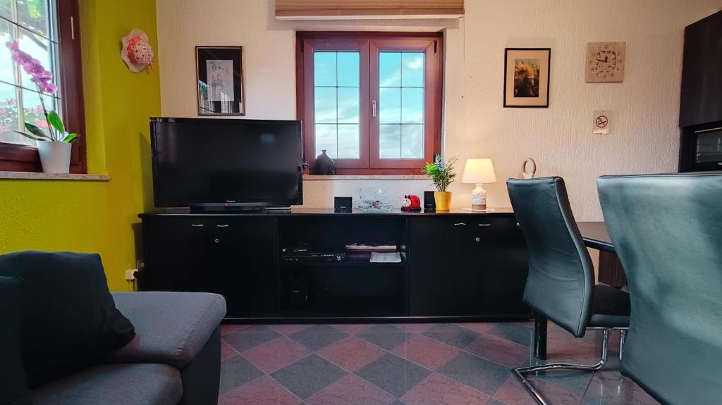 Telewizja i/lub zestaw kina domowego w obiekcie Apartman Ladybird