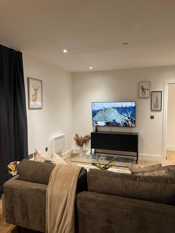 salon z kanapą i telewizorem z płaskim ekranem w obiekcie Prestige Apartment w Birmingham