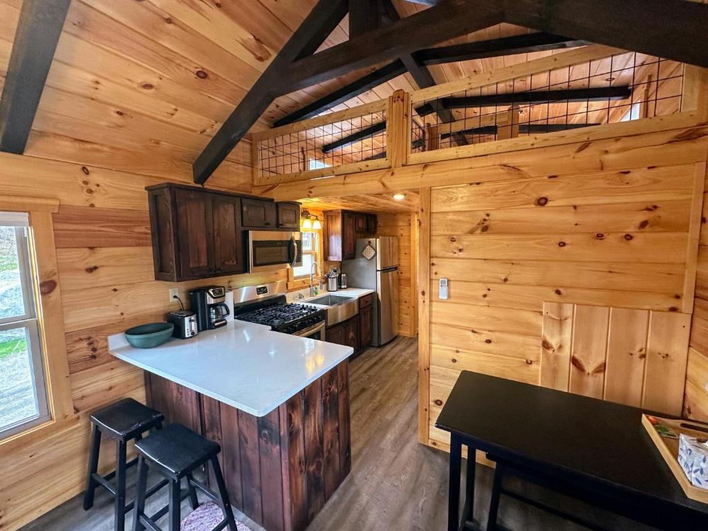 eine Küche in einer Hütte mit Holzwänden in der Unterkunft BMV4 Tiny Home with sleeping loft in Twin Mountain