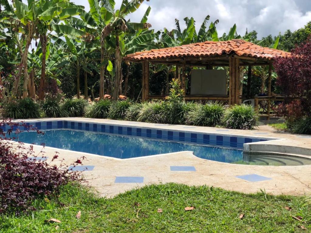 Bazén v ubytování Finca Agroturistica Las Margaritas nebo v jeho okolí