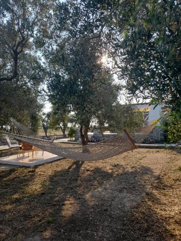 a hammock in a park under a tree at Sea and Garden House in Psakoudia