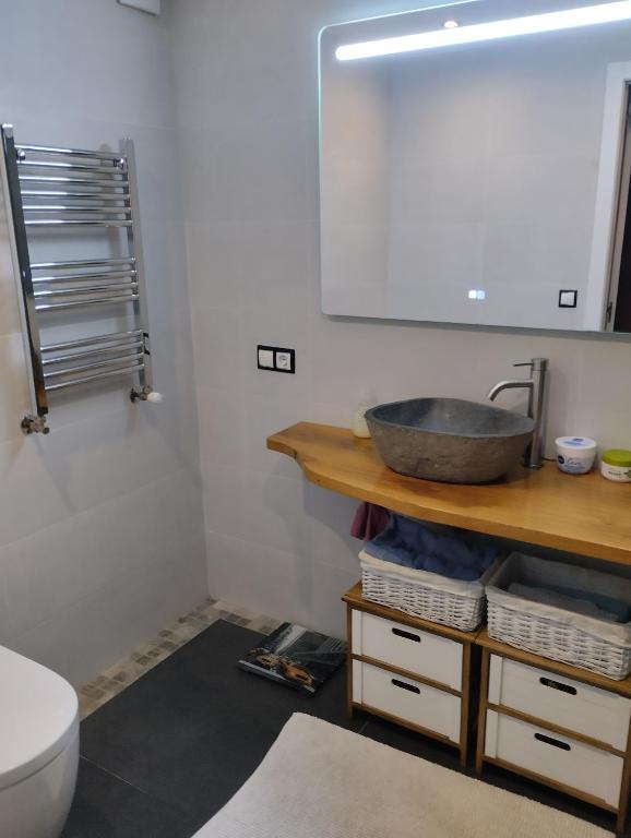 uma casa de banho com um lavatório e um WC em Habitación doble em Astigarraga
