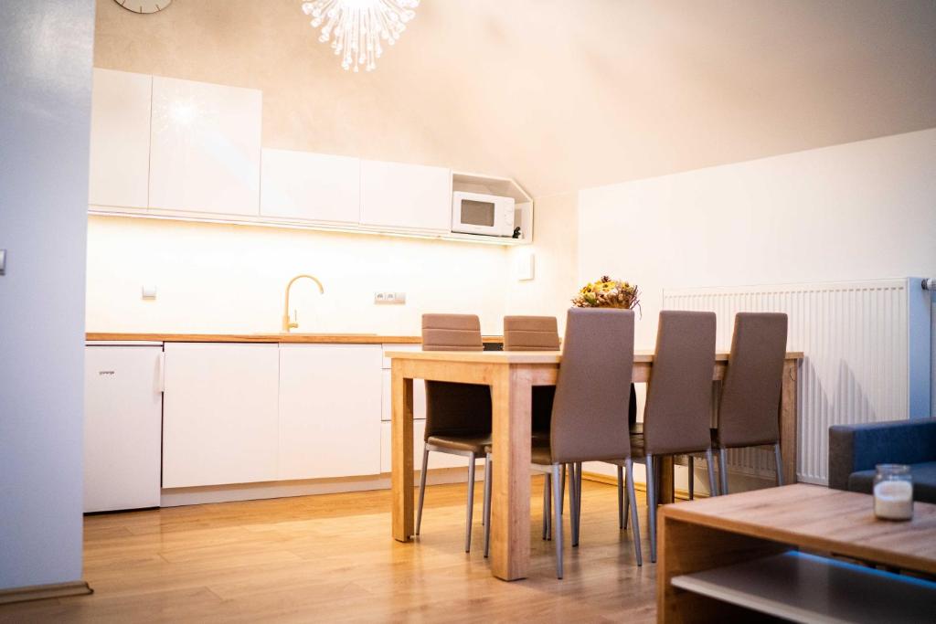 eine Küche mit einem Tisch und Stühlen im Zimmer in der Unterkunft Apartmán ZA-KA 3 ubytování Litovel in Červenka