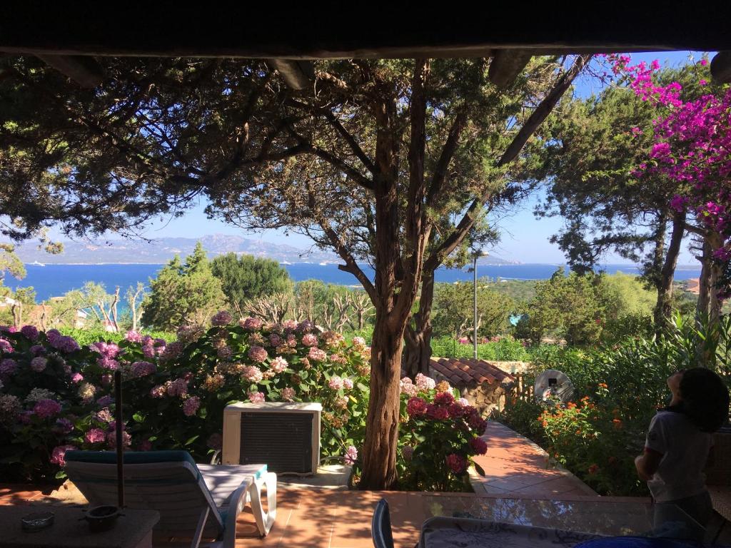 a view from a garden with flowers and a tree at Punta Lada in Porto Rotondo