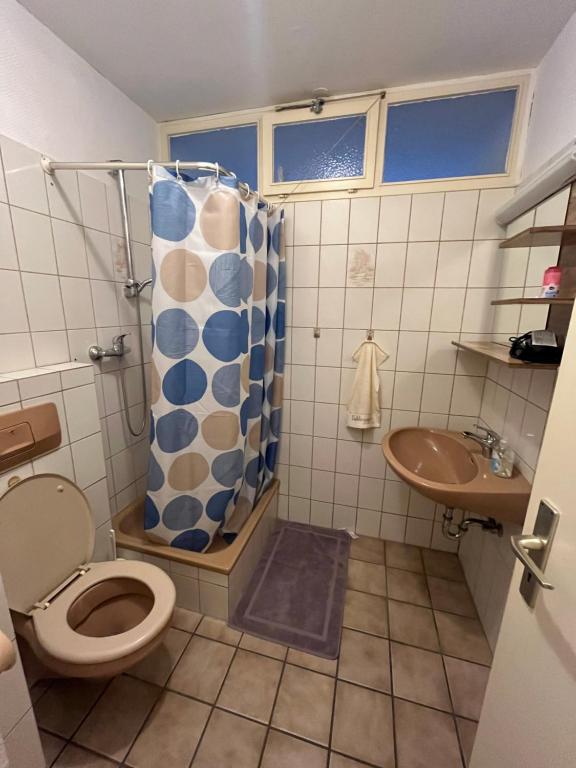 een badkamer met een douche, een toilet en een wastafel bij Zimmer in Köln in Keulen