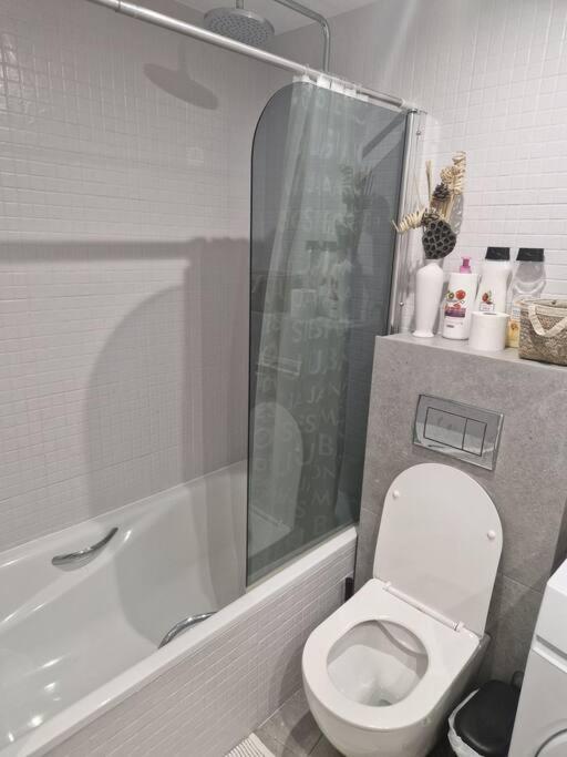 Kúpeľňa v ubytovaní Magnifique Duplex vue mer