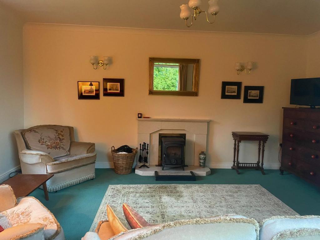 a living room with a couch and a fireplace at Cooper Hill in Carlow