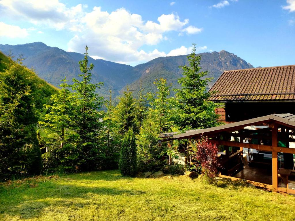 una casa en un campo con montañas en el fondo en Alpenlodge am Waldrand in Grainau, en Grainau