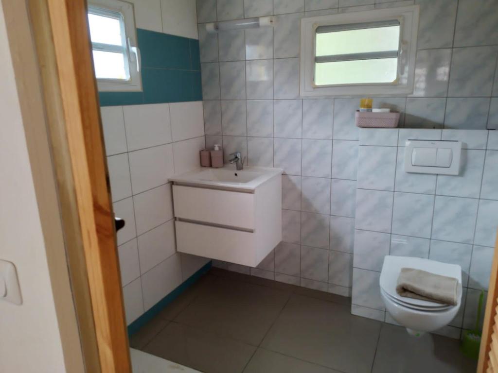 een badkamer met een toilet en een wastafel bij L’envolée bleue in Saint-Louis