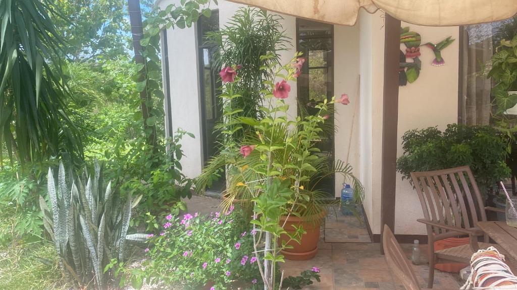 Zahrada ubytování Villa Pura Vida