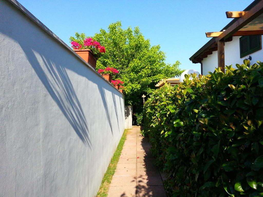 Vonkajšia záhrada v ubytovaní Agriturismo Fratelli Mizzon