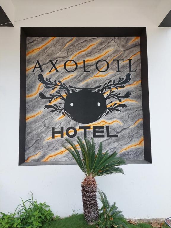 Fotografie z fotogalerie ubytování Hotel Axolotl v destinaci Puerto Escondido