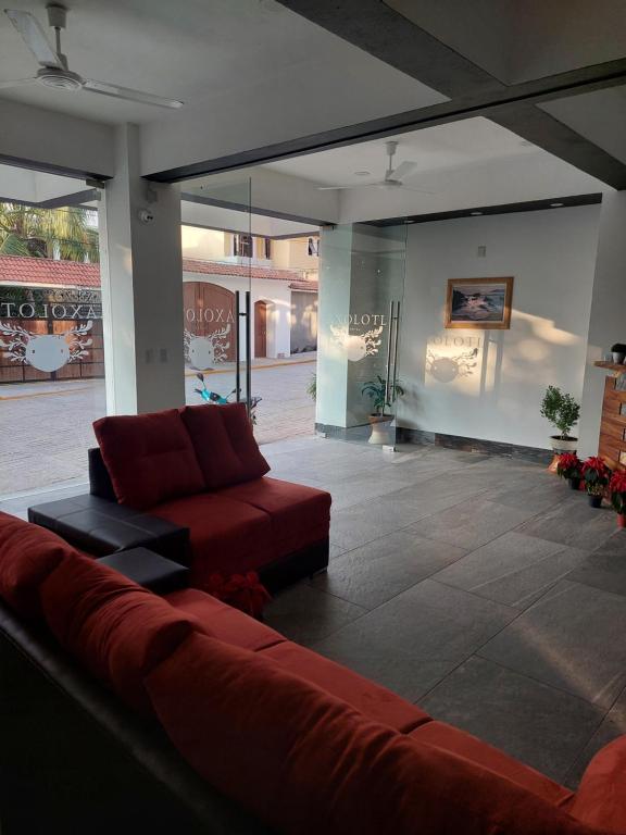 Posezení v ubytování Hotel Axolotl