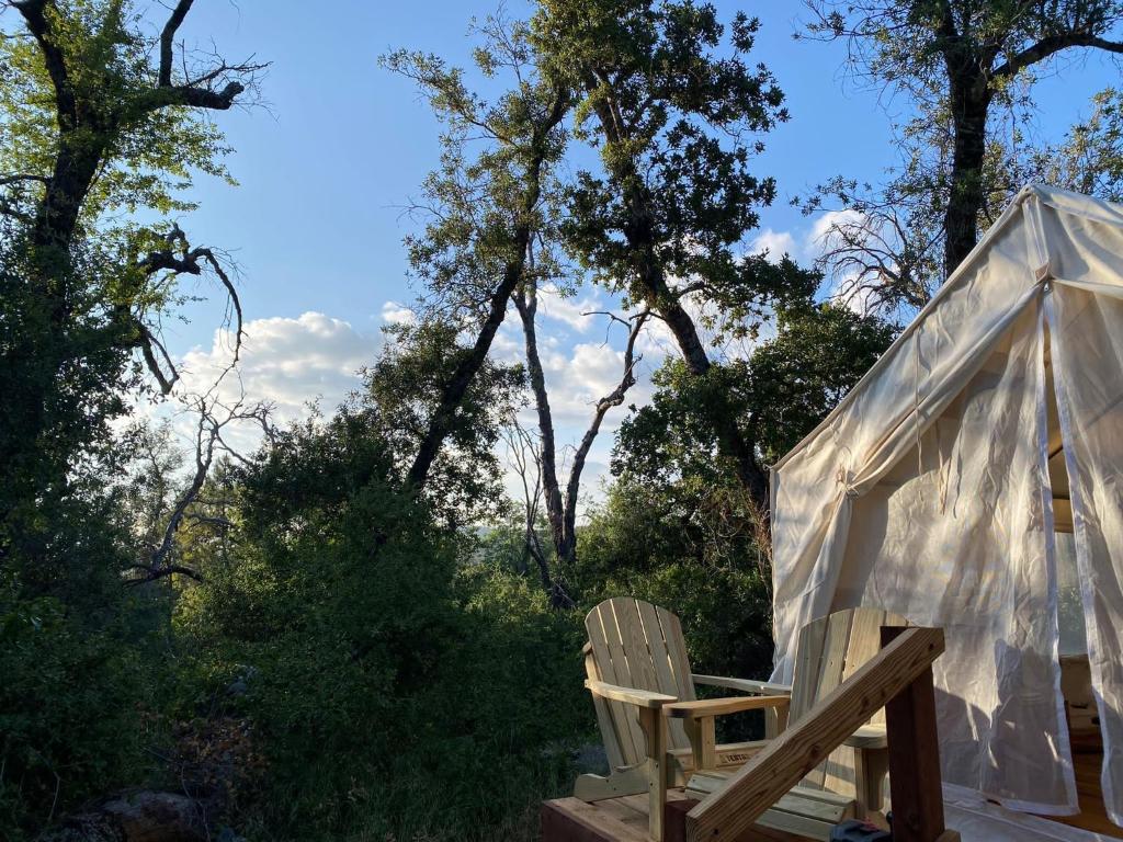 Tentrr Signature Site Woodland Camping at Manzanita Hill in Wynola