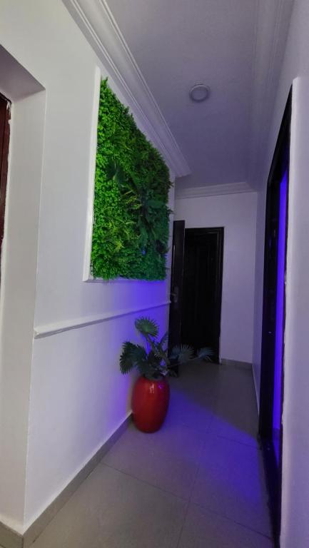 TV a/nebo společenská místnost v ubytování Palazzo Apartments
