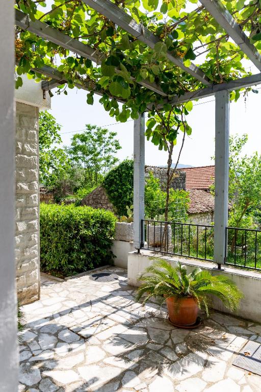 Zahrada ubytování Apartments Castello Risano
