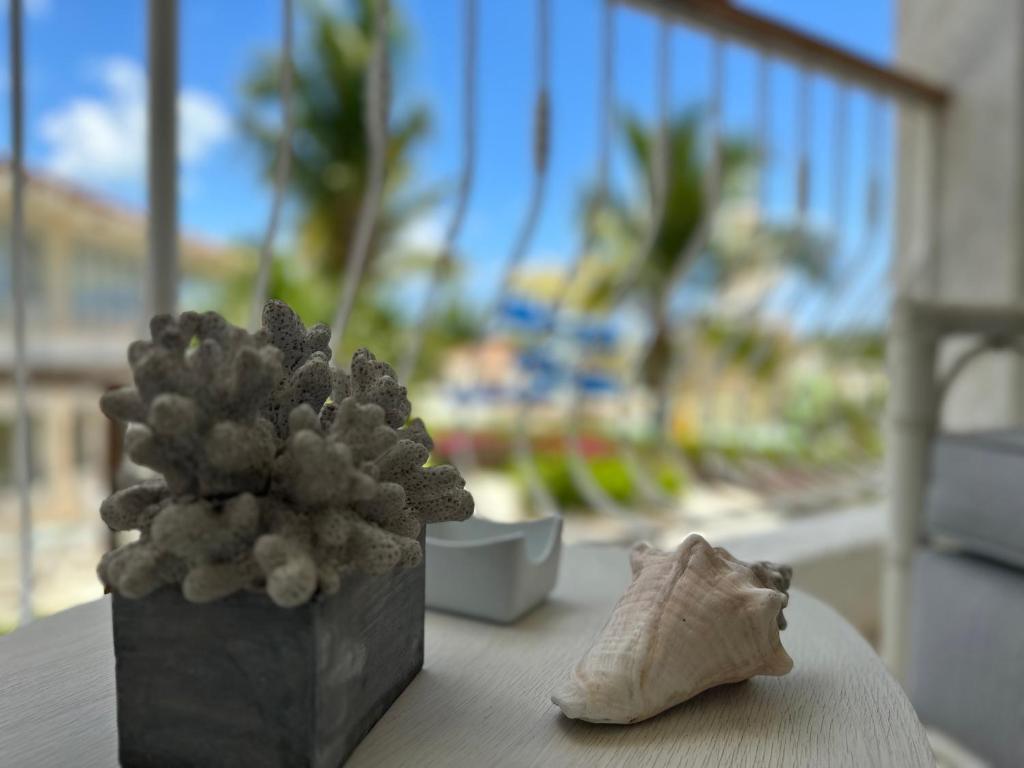Fotografie z fotogalerie ubytování Hotel Palmera Bayahibe v destinaci Bayahibe