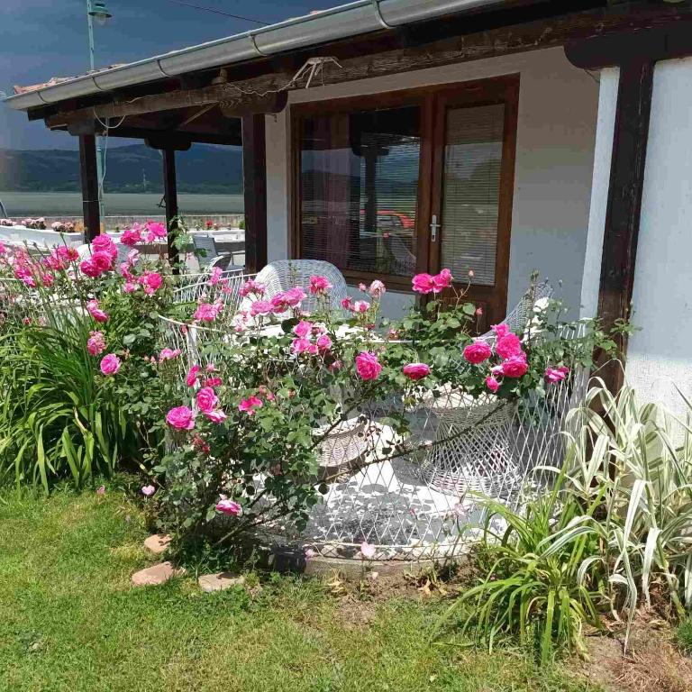Zahrada ubytování Apartmani sa pogledom na Dunav - Akademik