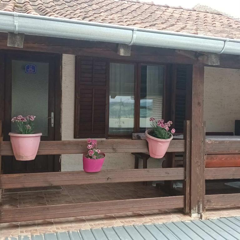 Akademik - Apartamento Con Terraza