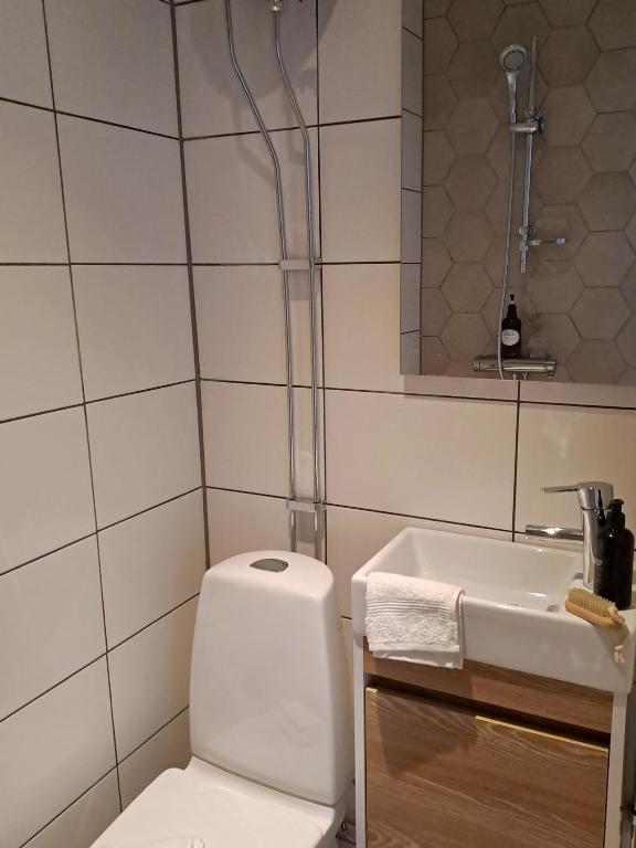 Koupelna v ubytování Attefallshuset
