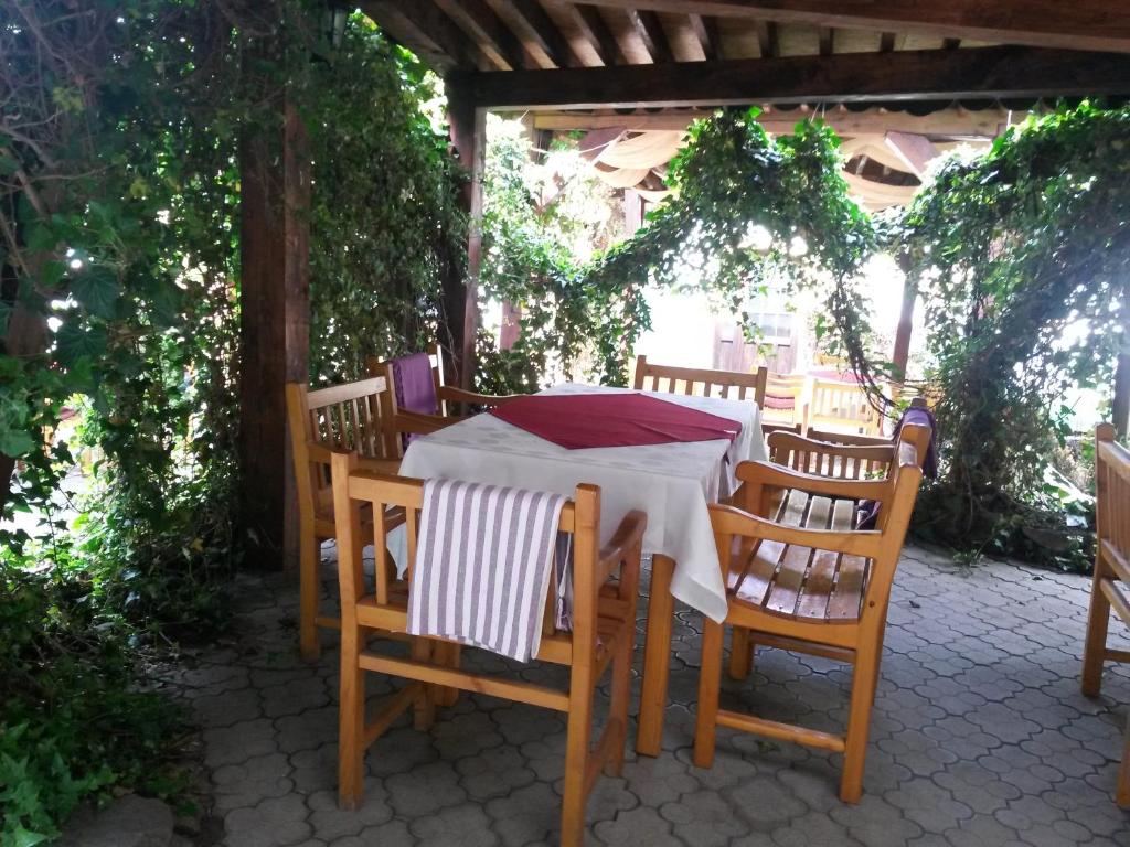 Zahrada ubytování Hotel Sighişoara