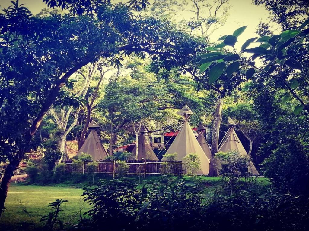 a group of tents in a field with trees at Gibaland in Pinetown