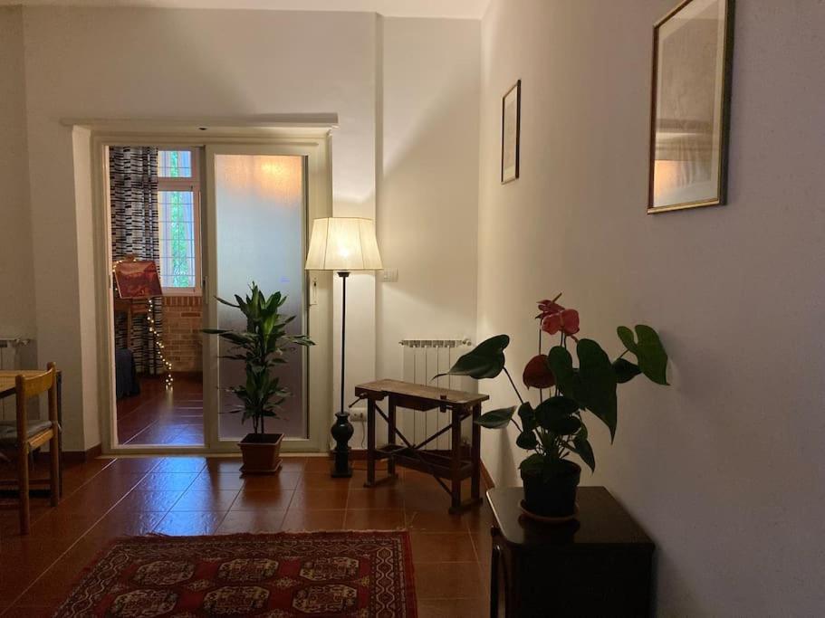 un salon avec des plantes en pot et une lampe dans l'établissement Chez Nous, à Ladispoli