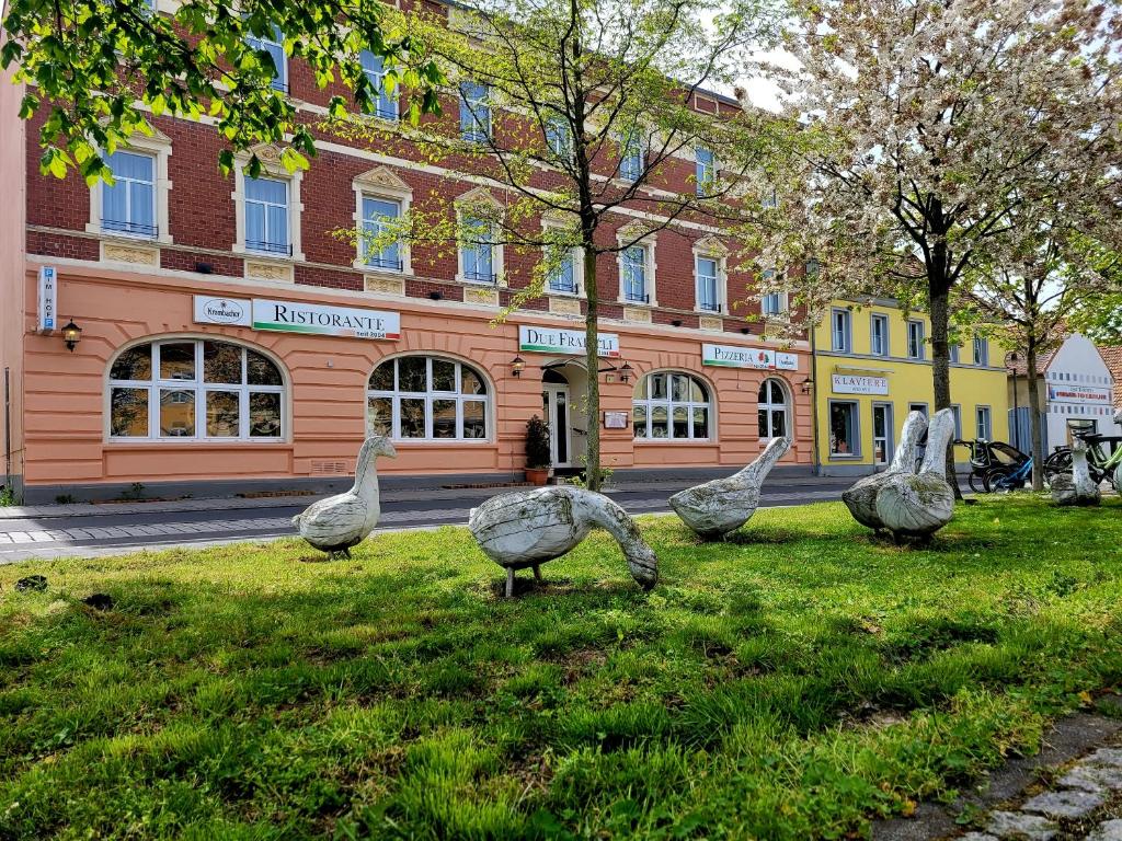 a group of birds sitting in the grass in front of a building at Hotel Due Fratelli in Senftenberg