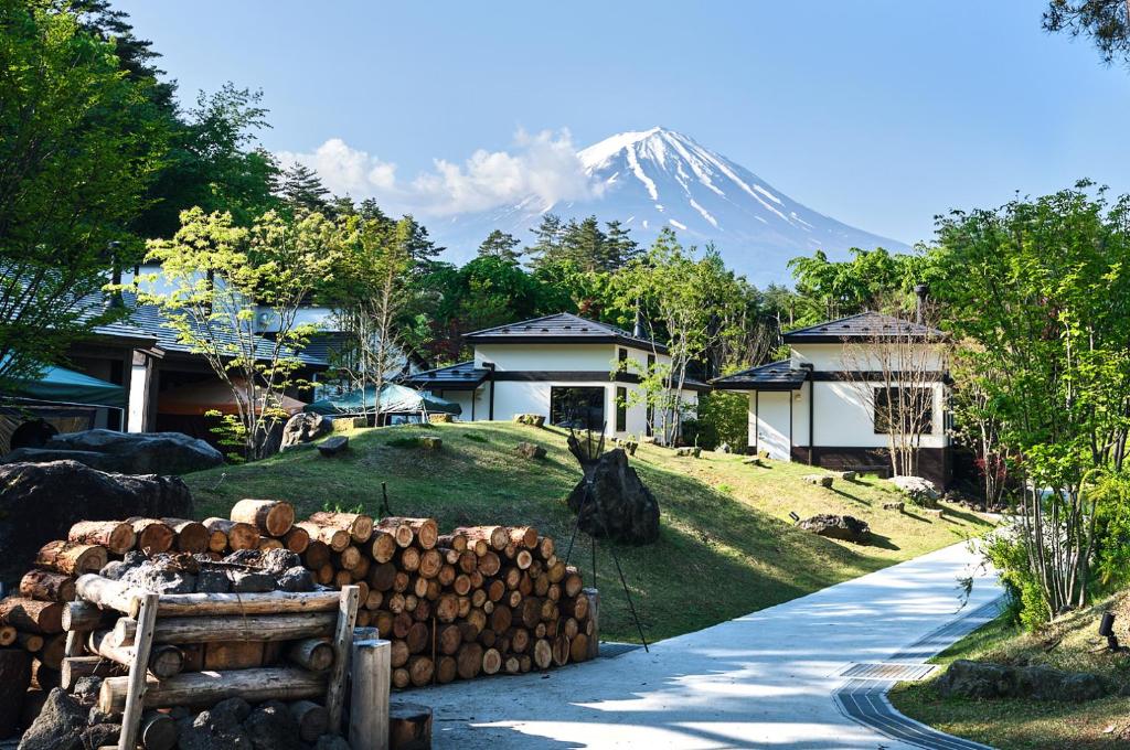 a mountain in the distance with a pile of logs at Glamping Villa Hanz Kawaguchiko in Fujikawaguchiko