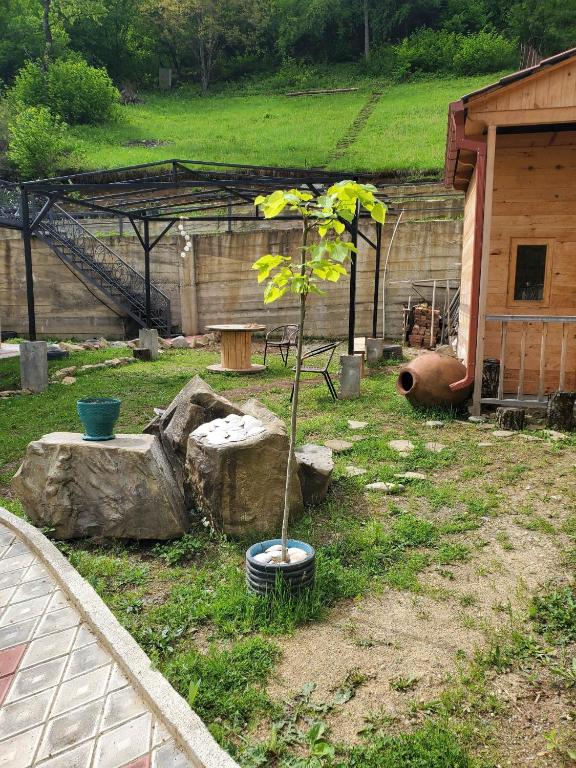 Zahrada ubytování DIOSKURIA BORJOMi
