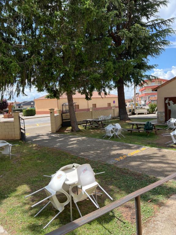 聖馬丁德爾卡米諾的住宿－Albergue municipal，一组坐在树下的草坪椅