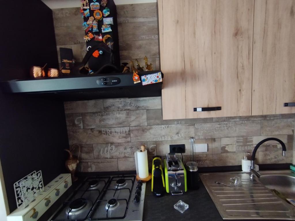 Kuchyň nebo kuchyňský kout v ubytování Tivoli Mood House