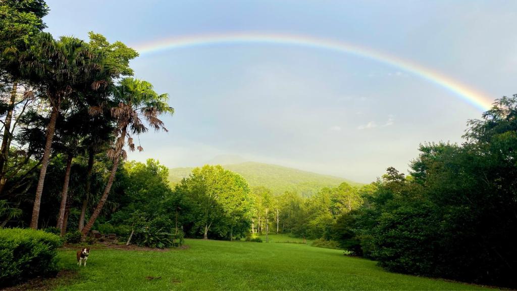 a rainbow in the sky over a field with a dog at Evermoore Homestead in Gleniffer