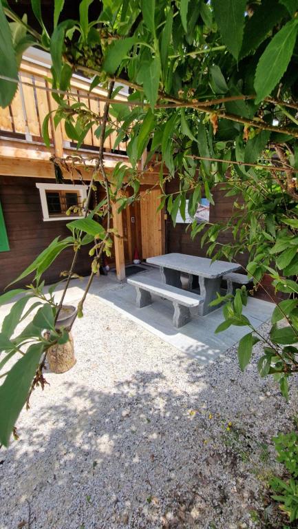 Zahrada ubytování Chalet-Daheim-Fiesch 3,5-Zimmerwohnung