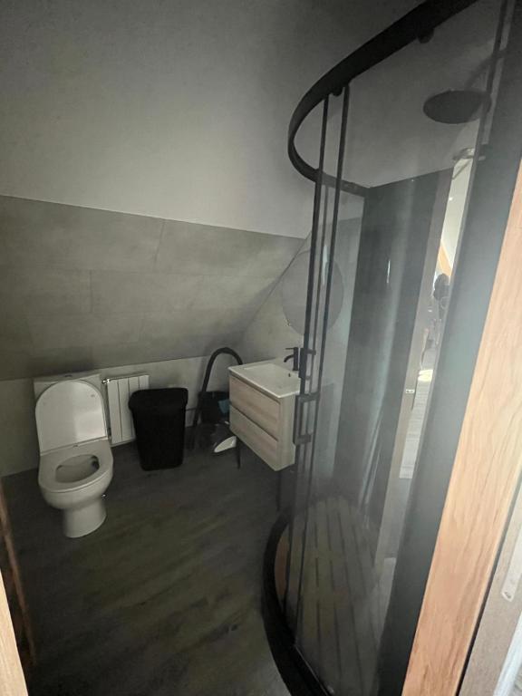 ein kleines Bad mit einem WC und einer Dusche in der Unterkunft Le Paradis de la Seine 
