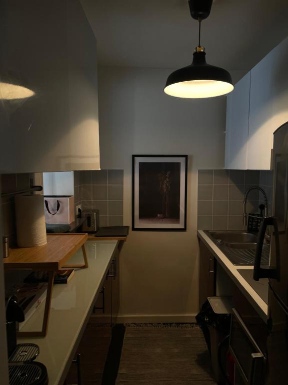 una cucina con lavandino e piano di lavoro di Appartement au cœur de Paris a Parigi