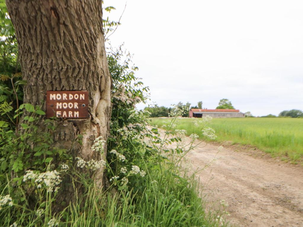 Příroda nedaleko prázdninového domu