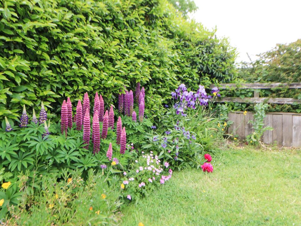 Zahrada ubytování Mordon Moor Cottage