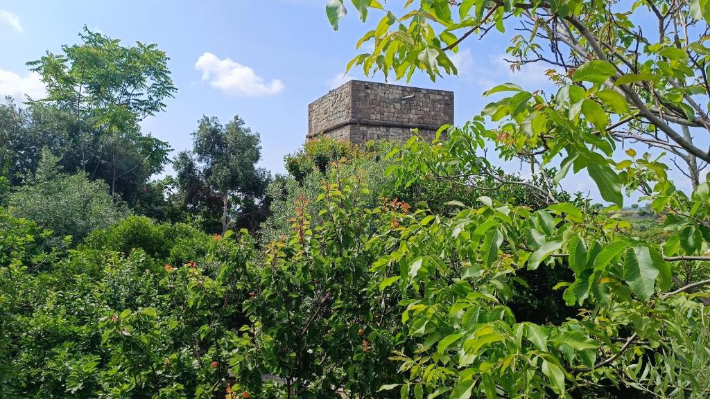 una torre di pietra in mezzo ad alcuni alberi di Passariello a Ischia