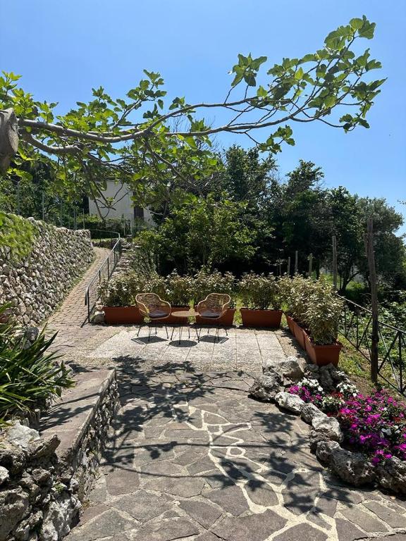 Ogród w obiekcie Maera B&B Ravello