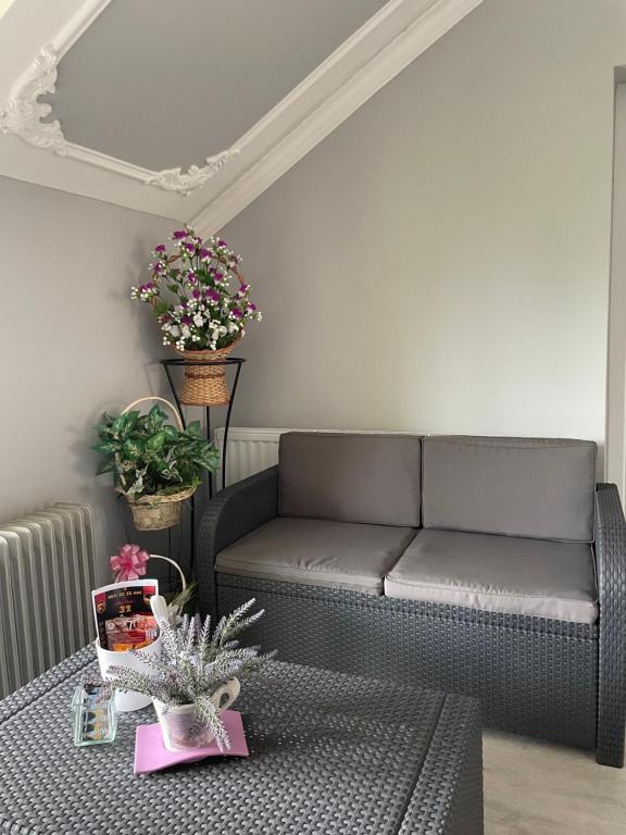 a living room with a couch and a table at Vila de lux in Bela Crkva