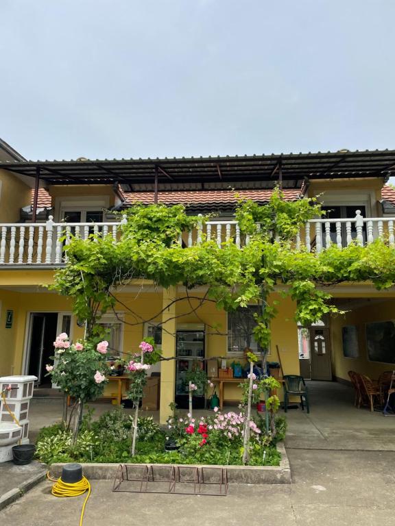 a building with a lot of flowers and plants at Vila de lux in Bela Crkva