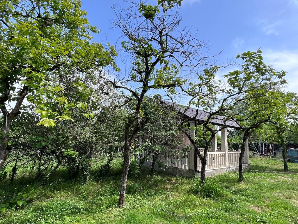 Zahrada ubytování Gardenia