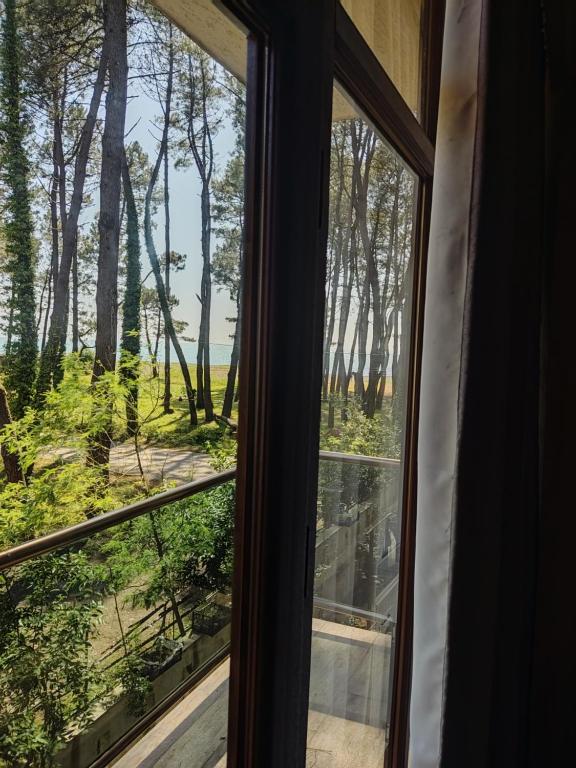 Zahrada ubytování kaprovani Kako