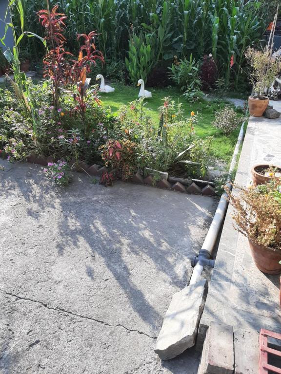 Zahrada ubytování juneli raat homestay pokhara