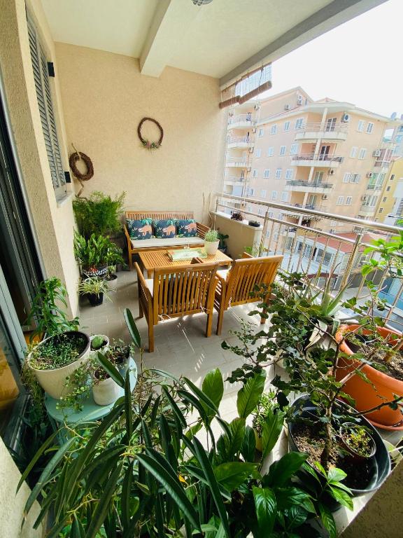 Zozi & Swallows Apartment, Budva (updated prices 2024)