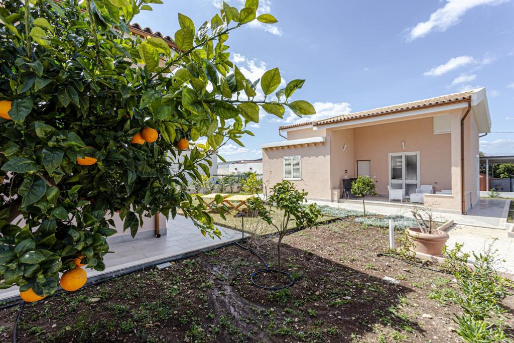 Zahrada ubytování Milocca Homes