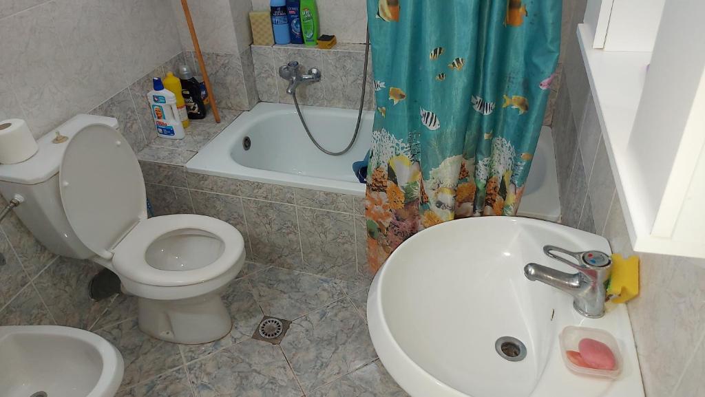 Apartments for rent - Image 3